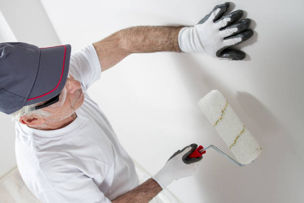 Best Forensic Mold Investigation  in Al Creek, CO