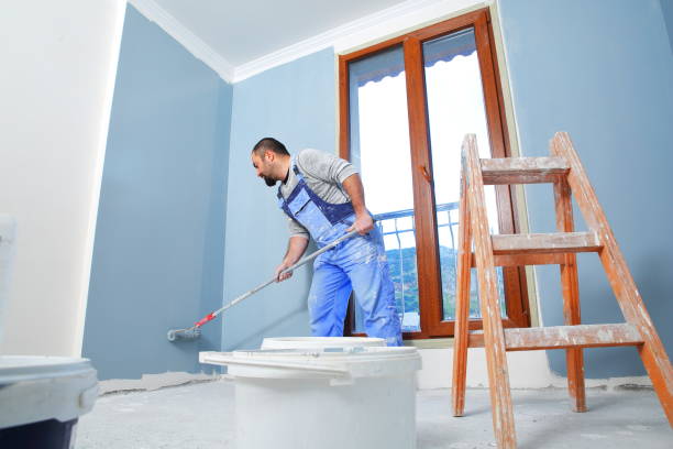 Mold Remediation for Rental Properties in Coal Creek, CO