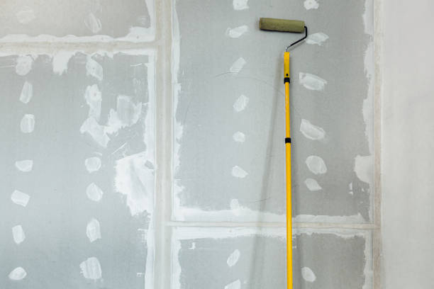 Best Residential Mold Inspection & Testing  in Al Creek, CO