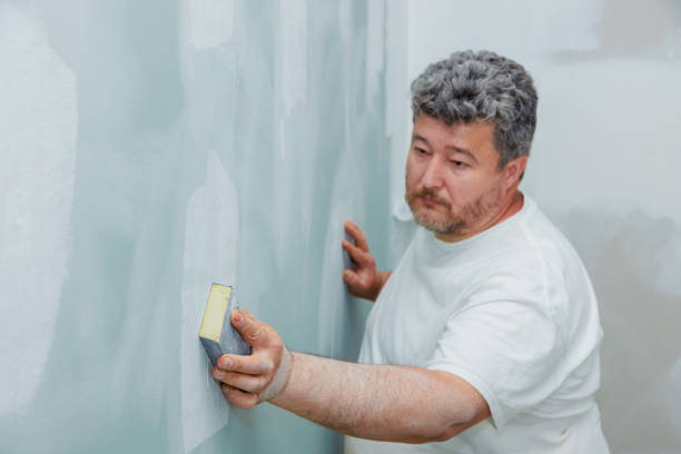 Forensic Mold Investigation in Coal Creek, CO