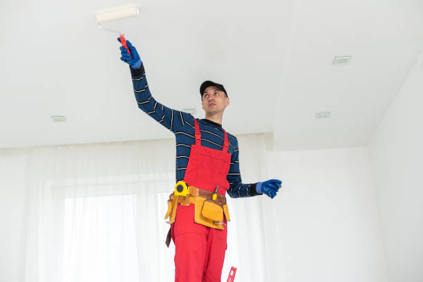Best Black Mold Removal  in Al Creek, CO