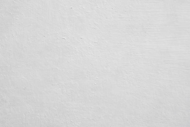 Best Attic Mold Removal  in Al Creek, CO