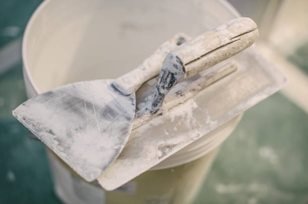 Mold Odor Removal Services in Coal Creek, CO